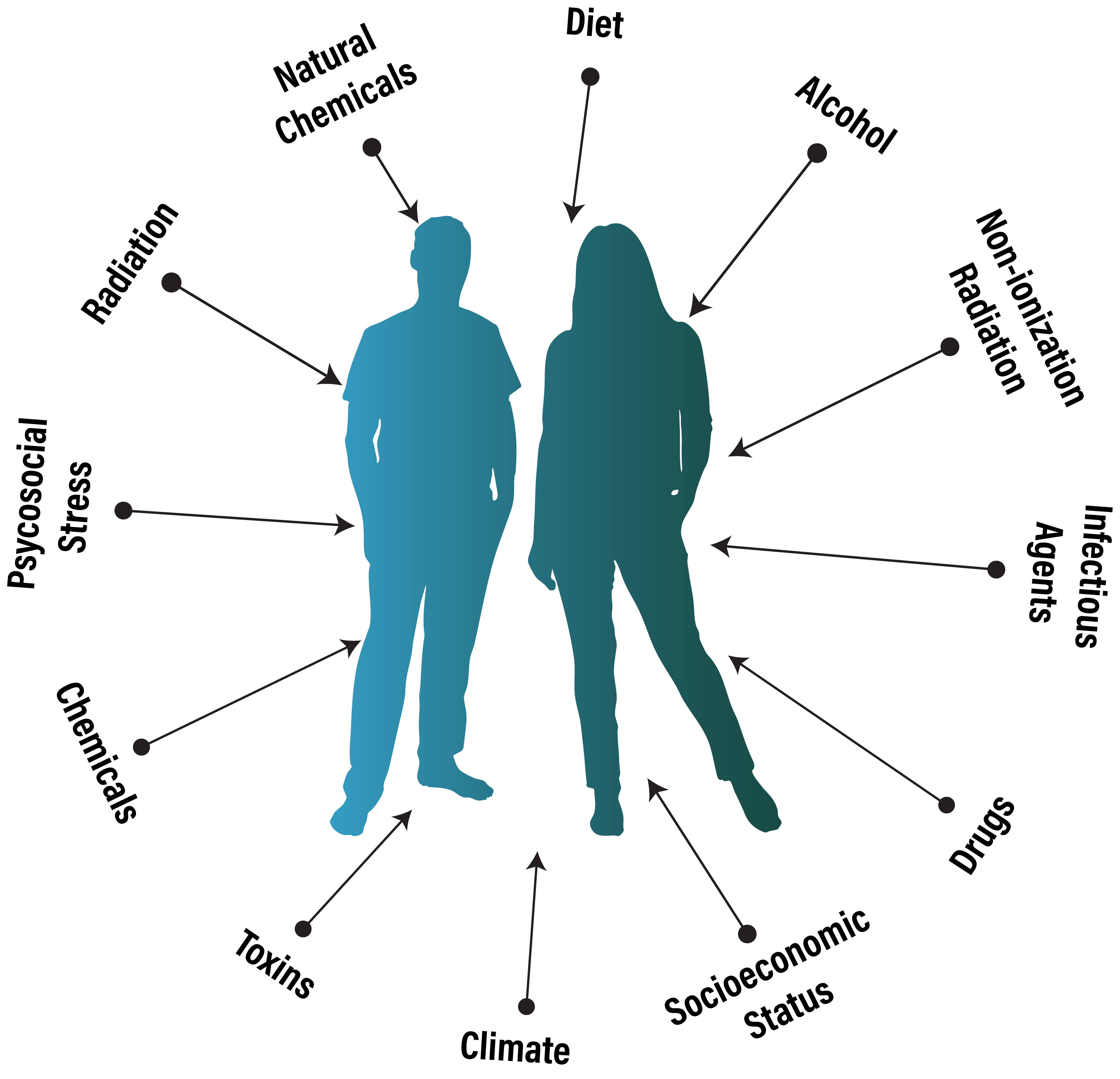 Some of the factors that contribute to the human exposome including environmental (chemicals, toxins, drugs, infections) and humanistic (socioeconomic status, phycological stress,)
