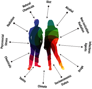 Exposome diagram showing silhouettes of a man and woman with environmental factors such as alcohol, diet, toxins, climate, and drugs in a circle around them